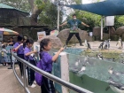 โครงการศึกษานอกสถานที่ “ป.4 : ท่องแดนมหัศจรรย์ในเขาเขียว” Image 69
